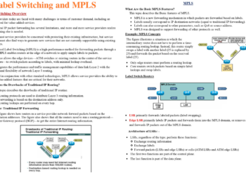 𝐋𝐚𝐛𝐞𝐥 𝐒𝐰𝐢𝐭𝐜𝐡𝐢𝐧𝐠 𝐚𝐧𝐝 𝐌𝐏𝐋𝐒