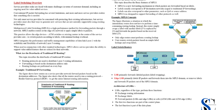 𝐋𝐚𝐛𝐞𝐥 𝐒𝐰𝐢𝐭𝐜𝐡𝐢𝐧𝐠 𝐚𝐧𝐝 𝐌𝐏𝐋𝐒