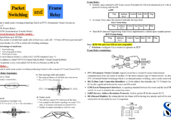 𝐏𝐚𝐜𝐤𝐞𝐭 𝐒𝐰𝐢𝐭𝐜𝐡𝐢𝐧𝐠 𝐚𝐧𝐝 𝐅𝐫𝐚𝐦𝐞 𝐑𝐞𝐥𝐚𝐲 𝐓𝐞𝐜𝐡𝐧𝐨𝐥𝐨𝐠𝐲
