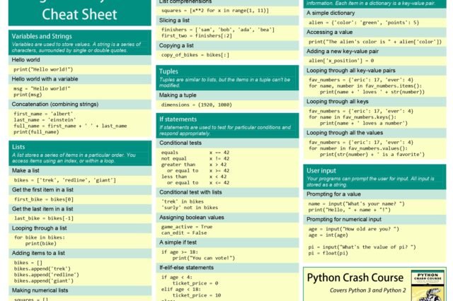 Beginner's Python Cheat Sheet: Your Essential Guide to Python Basics ...