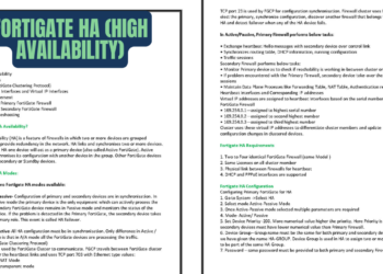 Fortinet FortiGate HA (High Availability)