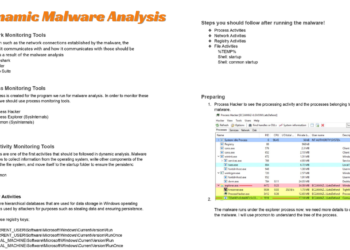 Dynamic Malware Analysis