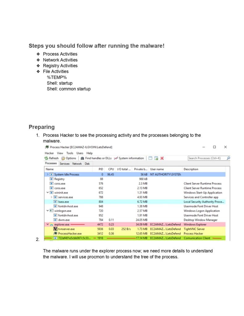 A Comprehensive Guide to Dynamic Malware Analysis