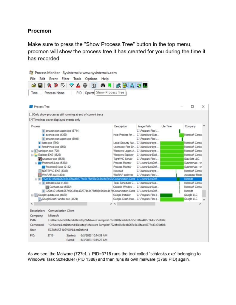 A Comprehensive Guide to Dynamic Malware Analysis